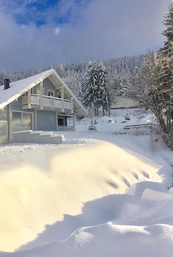 Chalet Le Flocon Bleu - Mauselaine Avec Vue Sur Le Lac De Gerardmer Exterior photo