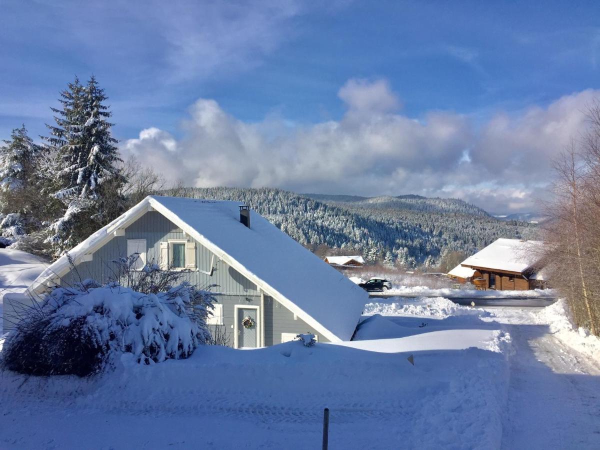 Chalet Le Flocon Bleu - Mauselaine Avec Vue Sur Le Lac De Gerardmer Exterior photo