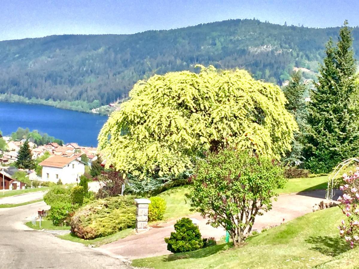 Chalet Le Flocon Bleu - Mauselaine Avec Vue Sur Le Lac De Gerardmer Exterior photo