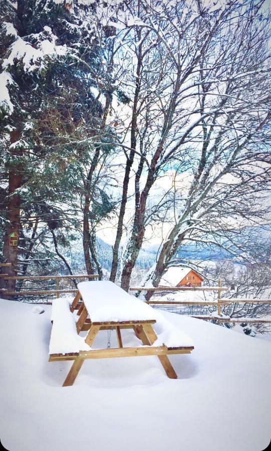 Chalet Le Flocon Bleu - Mauselaine Avec Vue Sur Le Lac De Gerardmer Exterior photo