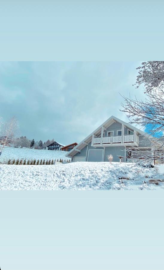 Chalet Le Flocon Bleu - Mauselaine Avec Vue Sur Le Lac De Gerardmer Exterior photo